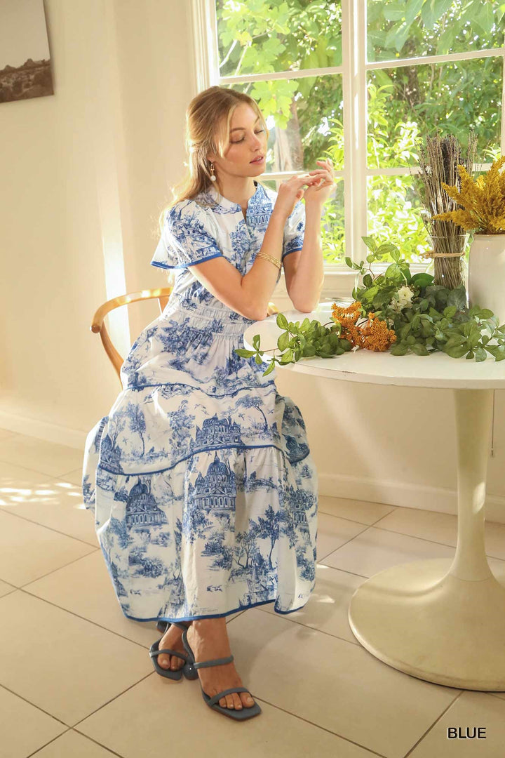 Toile print maxi dress