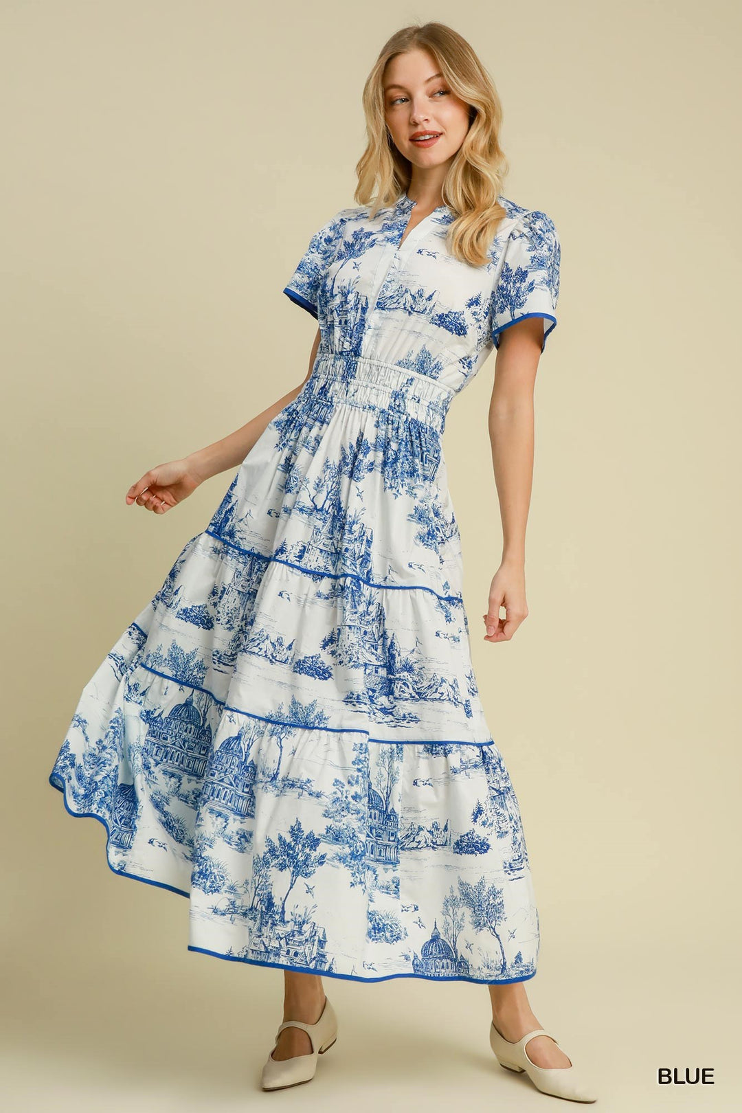 Toile print maxi dress