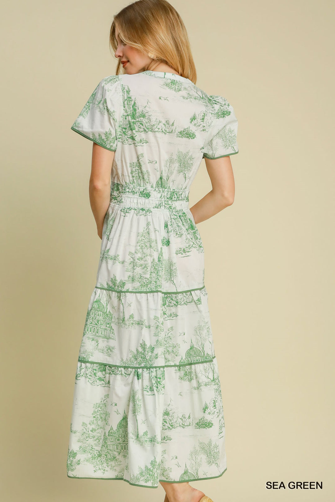 Toile print maxi dress