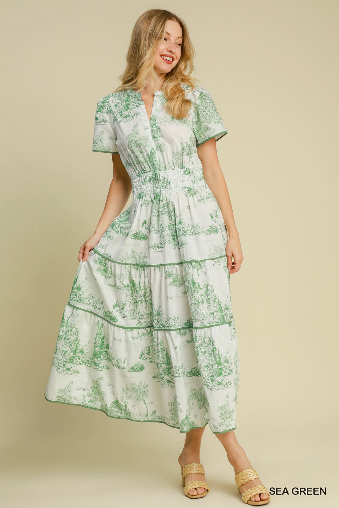 Toile print maxi dress